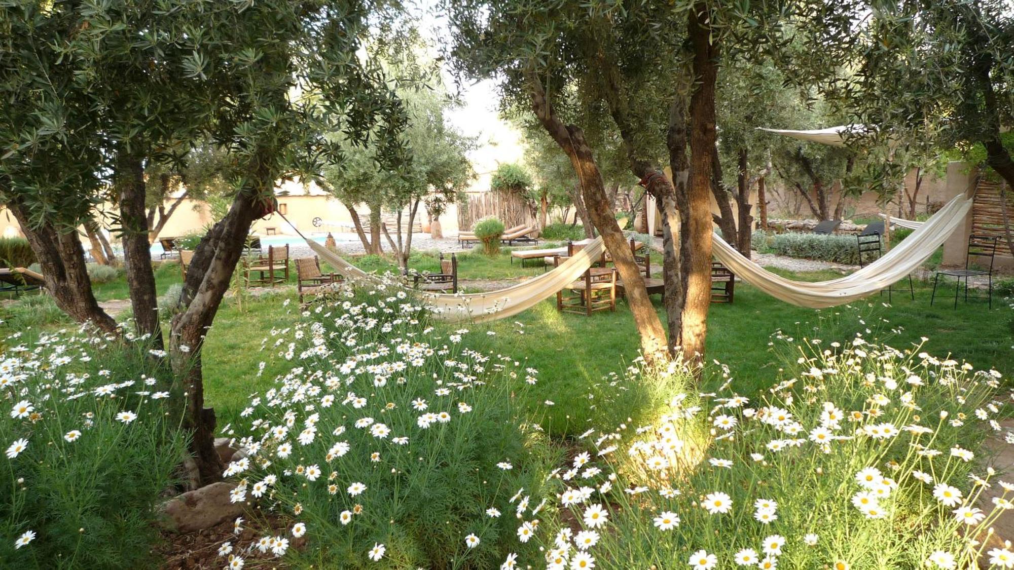 Les Jardins De Skoura Bed & Breakfast Luaran gambar