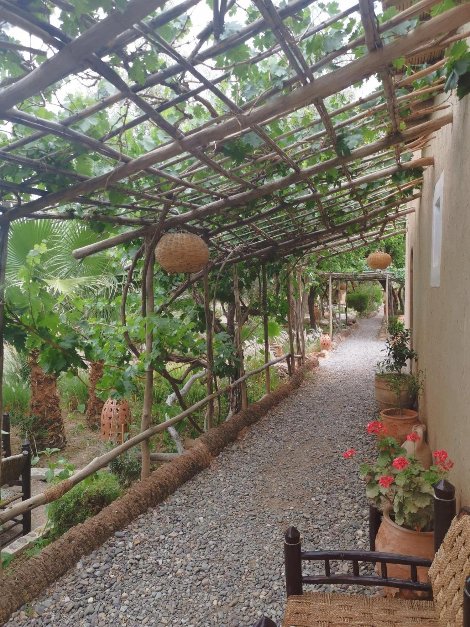 Les Jardins De Skoura Bed & Breakfast Luaran gambar